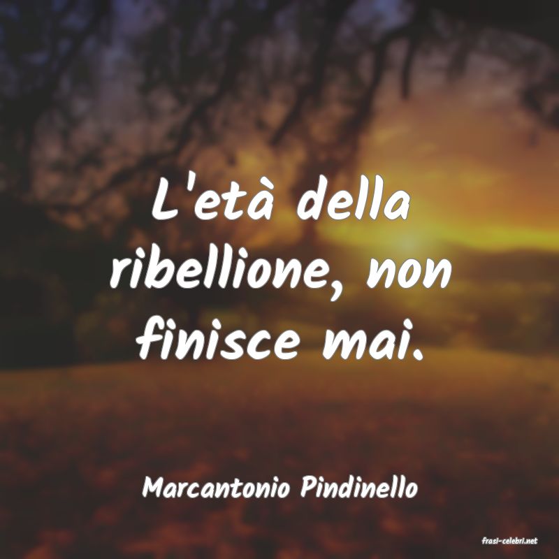 frasi di  Marcantonio Pindinello
