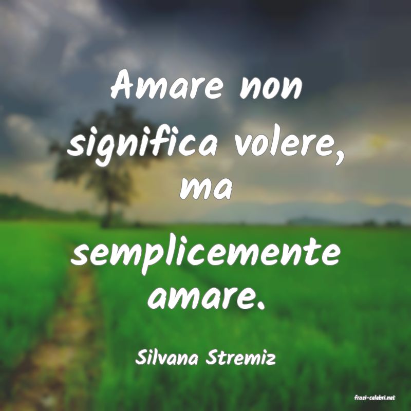 frasi di  Silvana Stremiz
