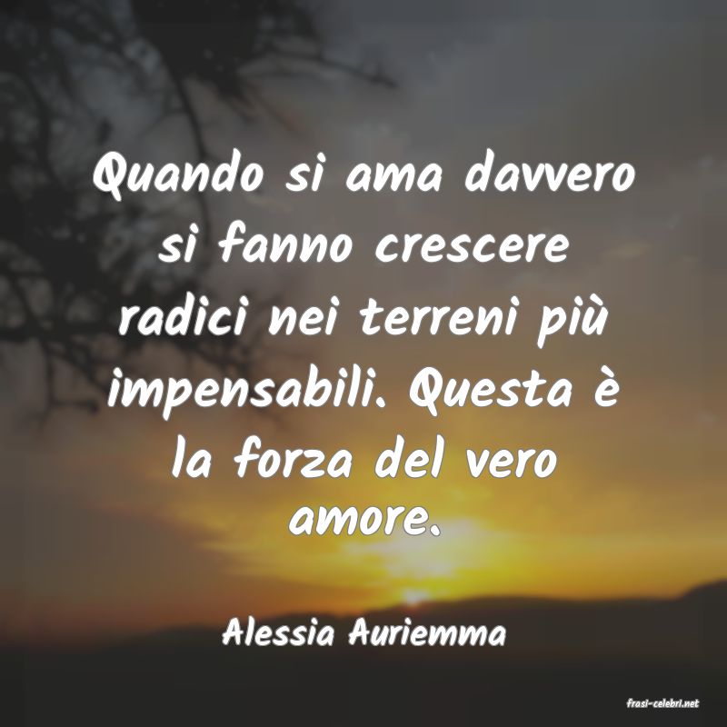 frasi di  Alessia Auriemma
