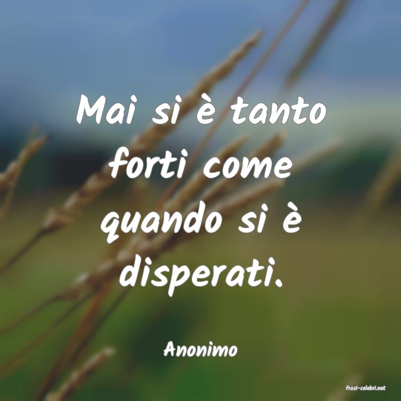frasi di  Anonimo
