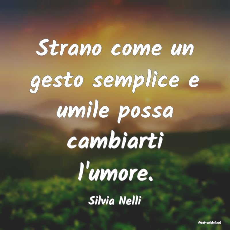 frasi di  Silvia Nelli
