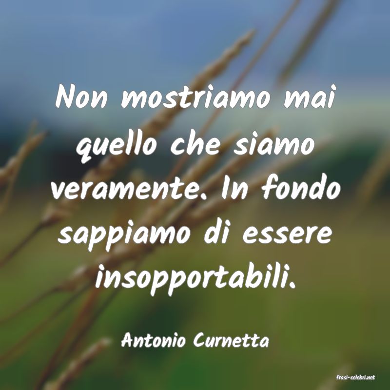 frasi di  Antonio Curnetta
