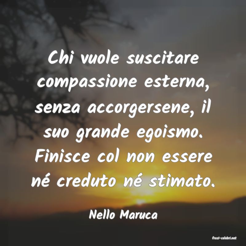frasi di  Nello Maruca
