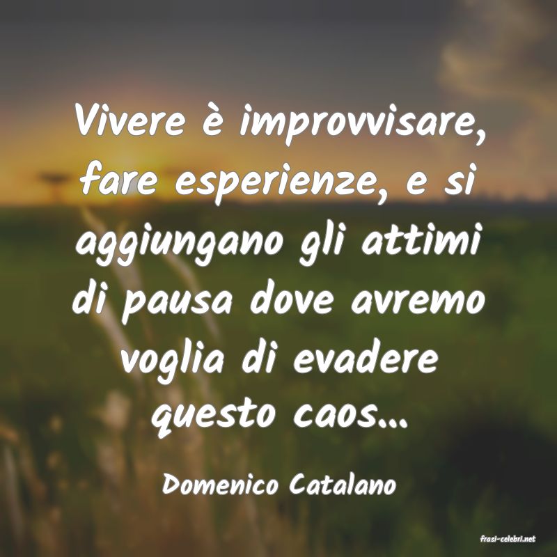 frasi di  Domenico Catalano
