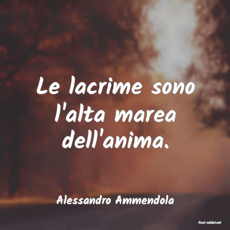 frasi di  Alessandro Ammendola
