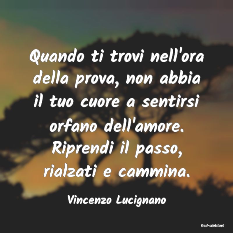 frasi di  Vincenzo Lucignano
