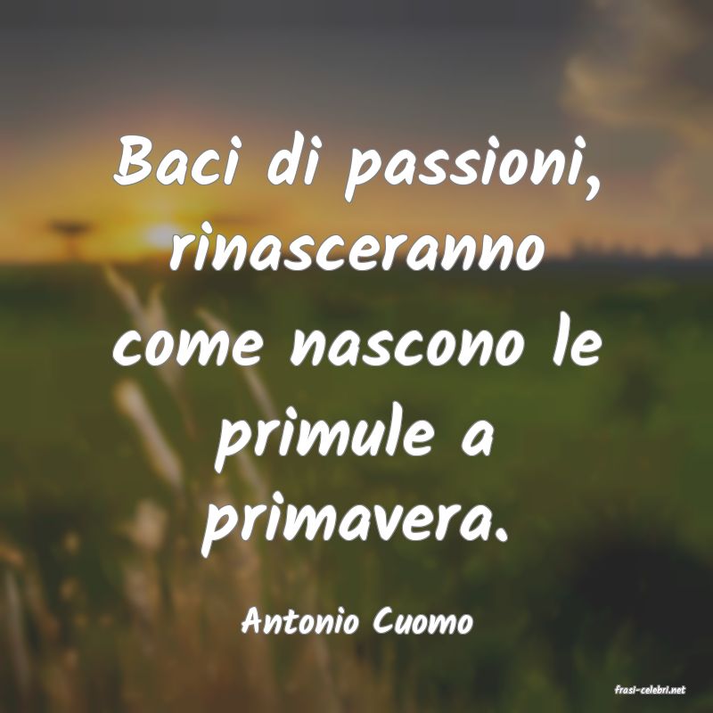 frasi di  Antonio Cuomo
