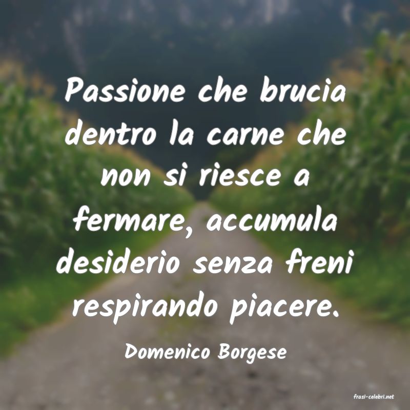 frasi di Domenico Borgese