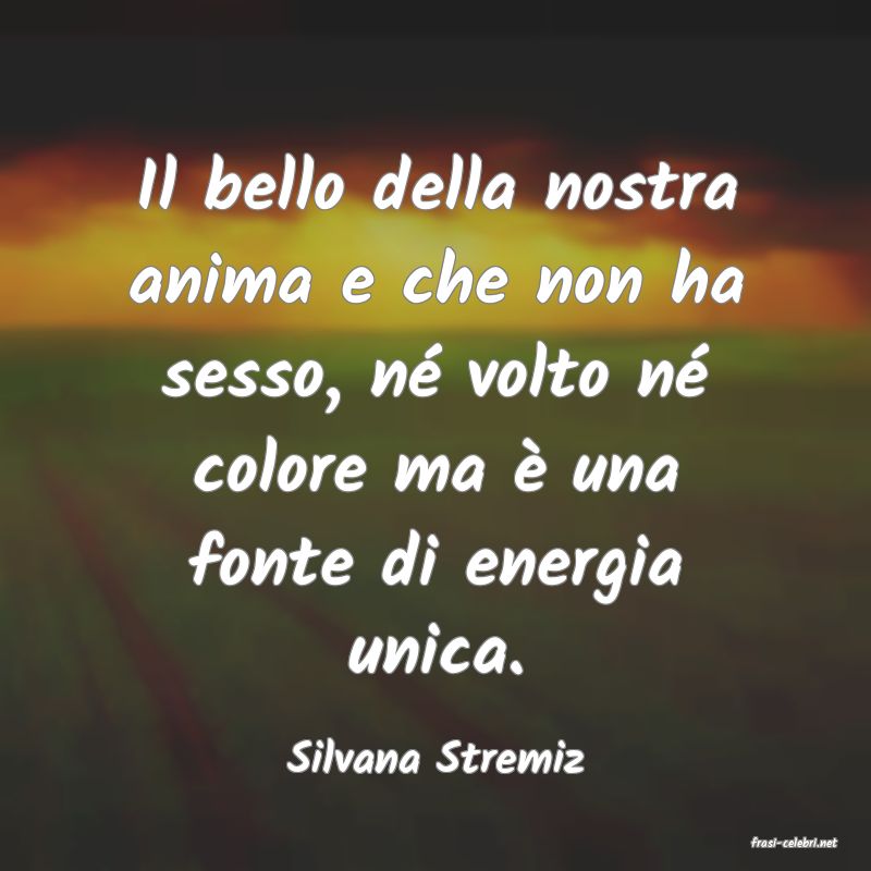 frasi di  Silvana Stremiz
