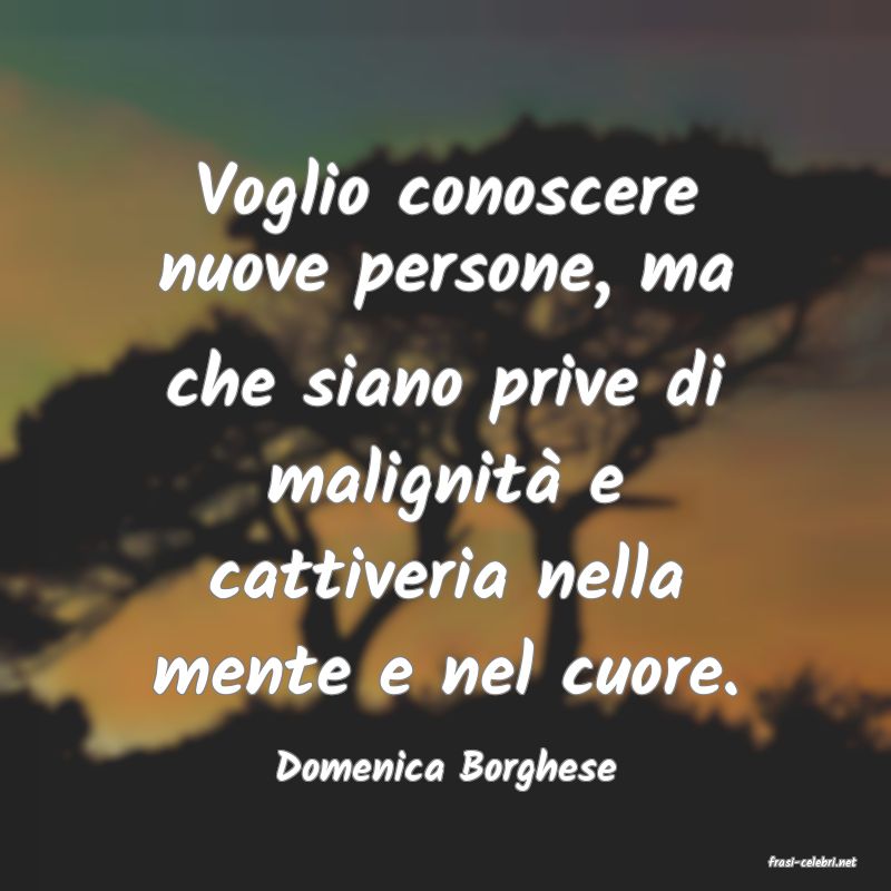 frasi di  Domenica Borghese
