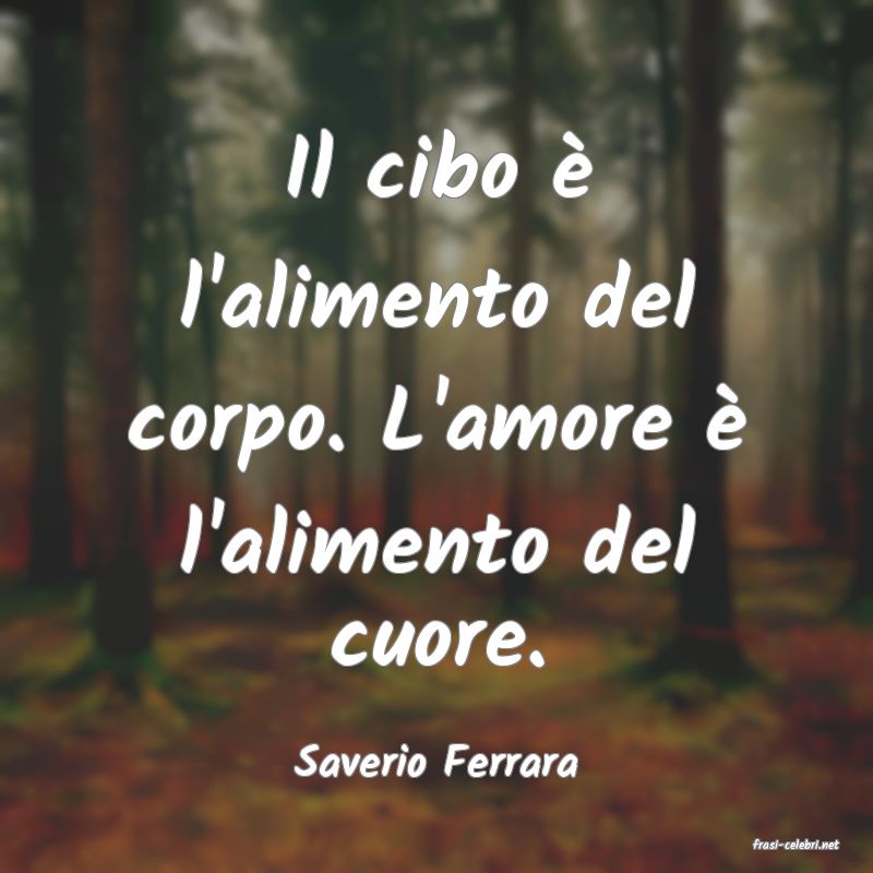 frasi di  Saverio Ferrara
