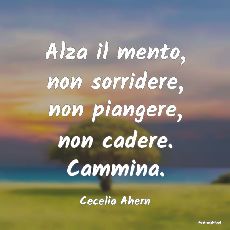 frasi di  Cecelia Ahern
