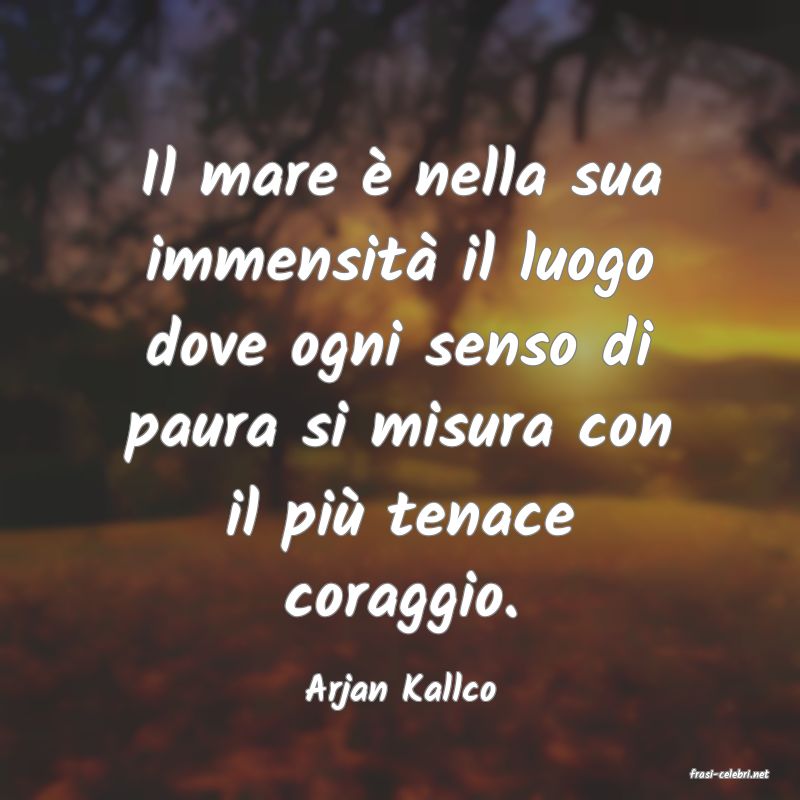 frasi di  Arjan Kallco
