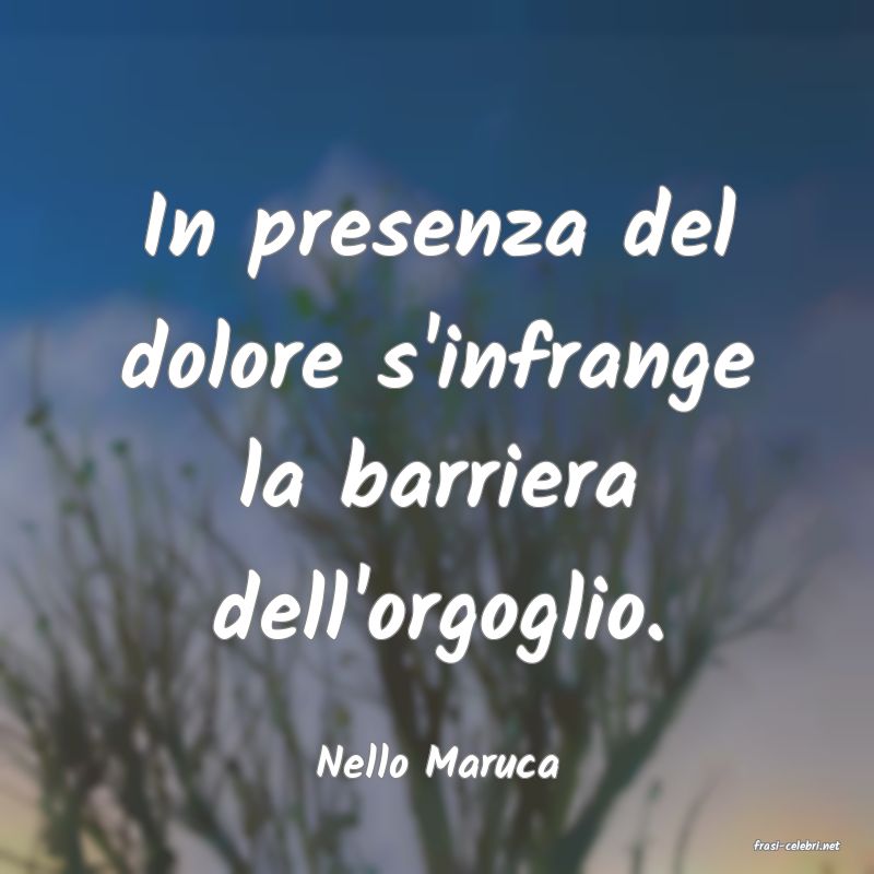 frasi di  Nello Maruca
