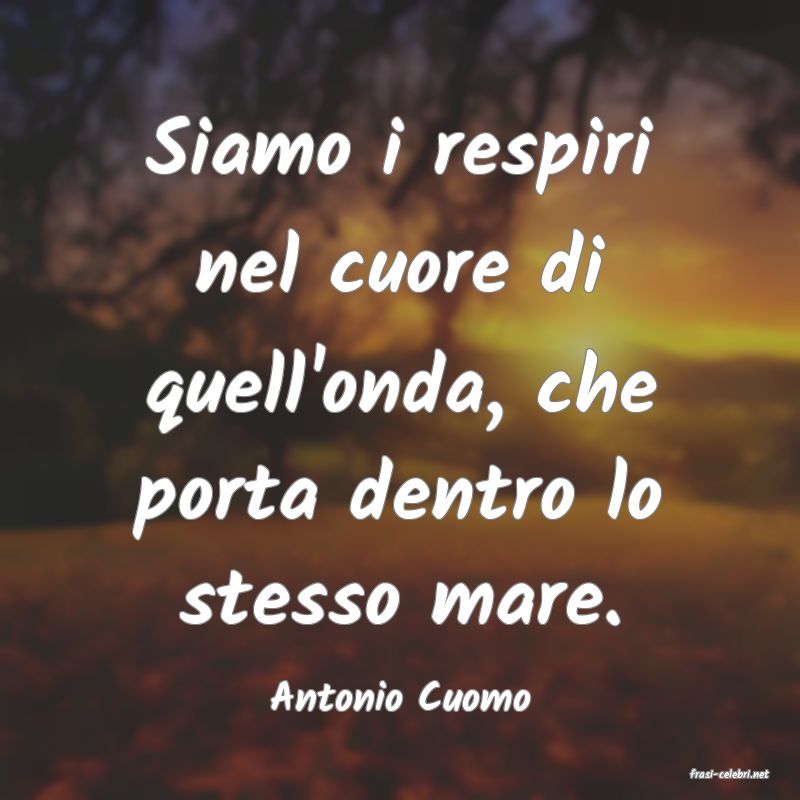 frasi di  Antonio Cuomo
