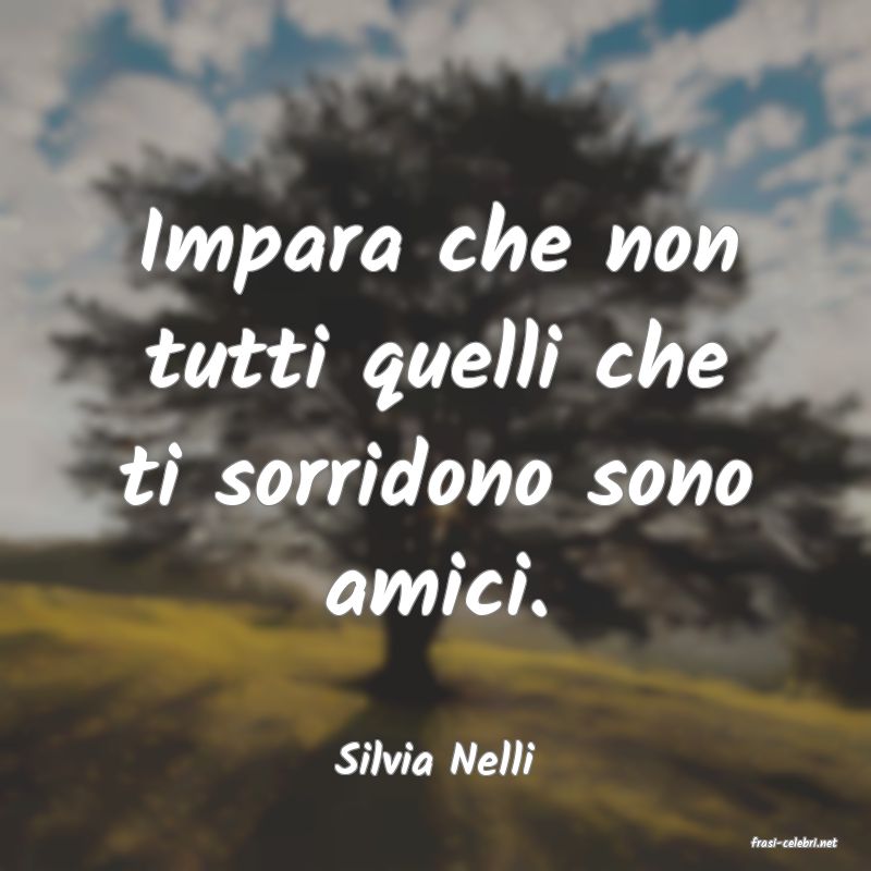frasi di  Silvia Nelli
