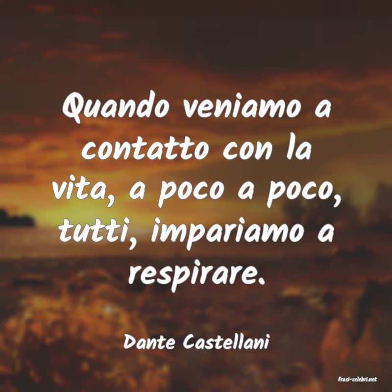 frasi di  Dante Castellani
