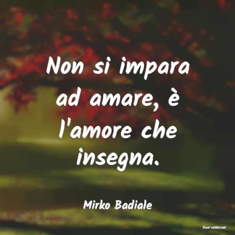frasi di  Mirko Badiale
