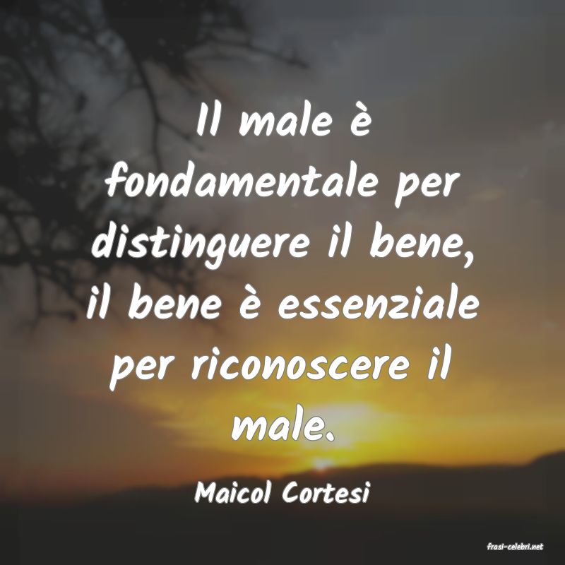 frasi di  Maicol Cortesi
