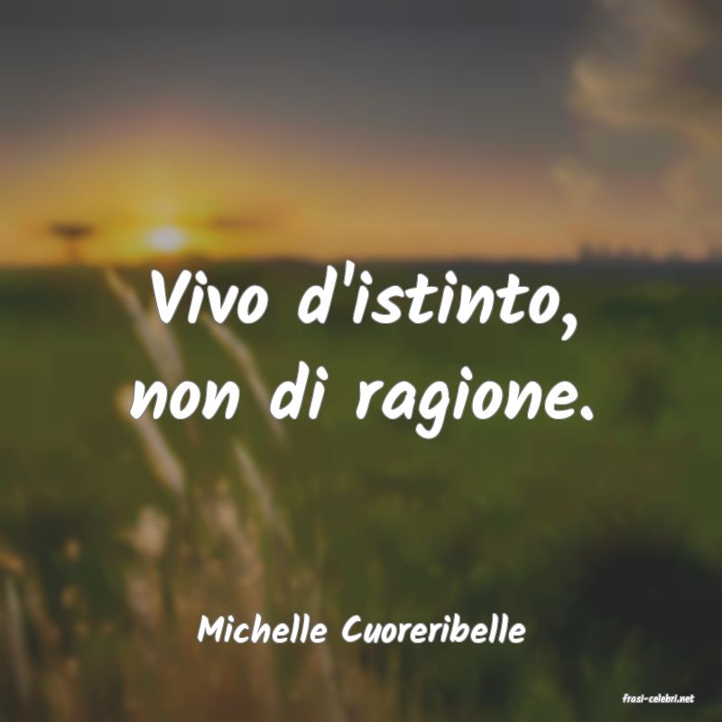 frasi di  Michelle Cuoreribelle
