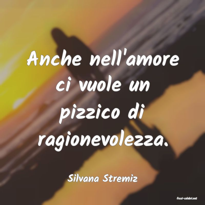 frasi di  Silvana Stremiz
