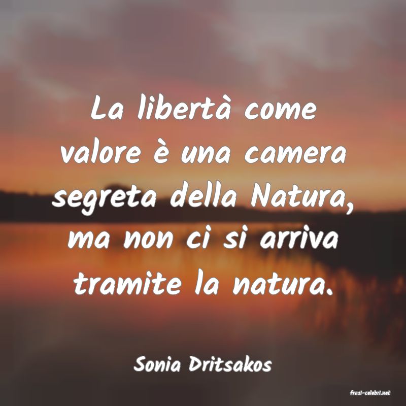 frasi di Sonia Dritsakos