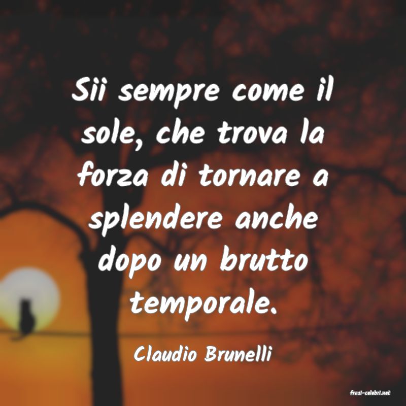frasi di  Claudio Brunelli
