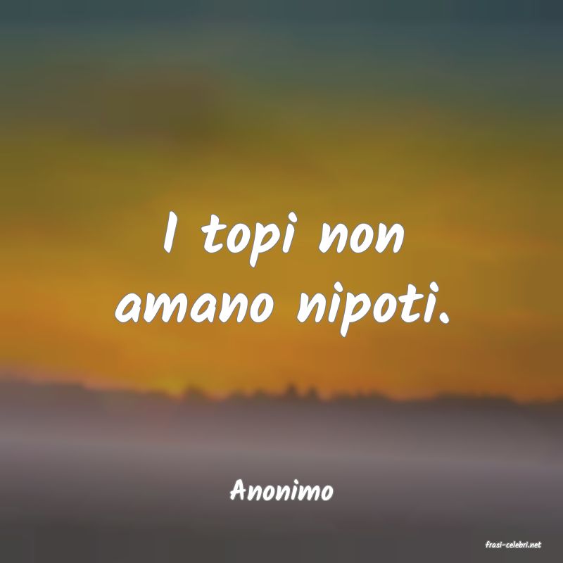 frasi di  Anonimo
