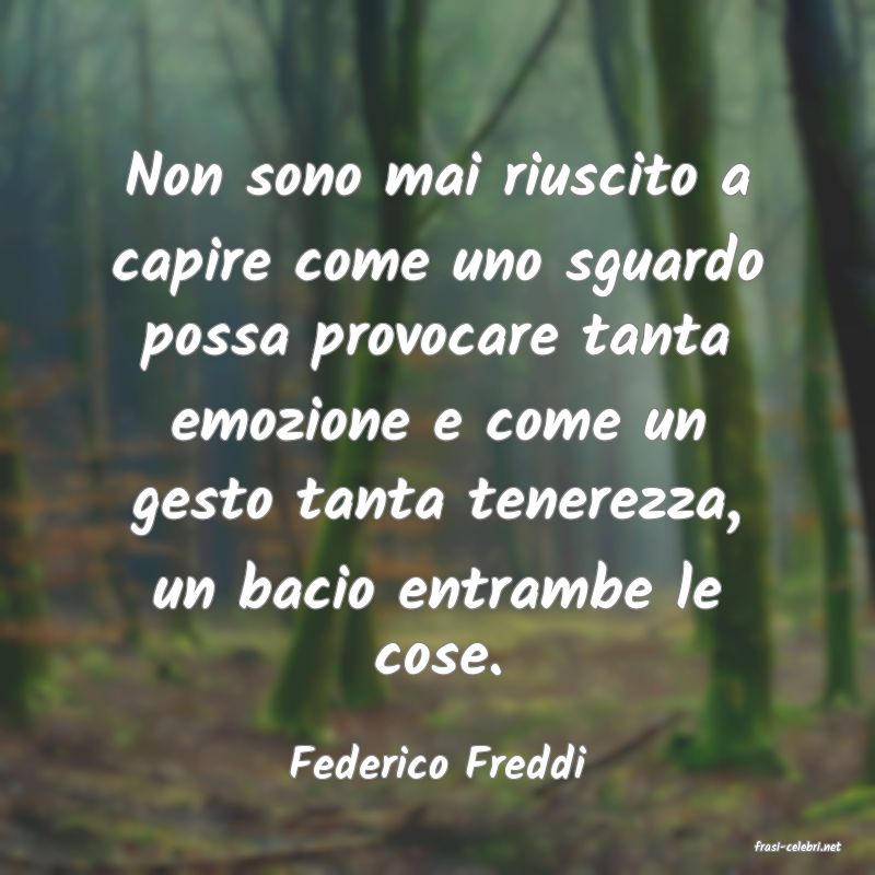frasi di  Federico Freddi

