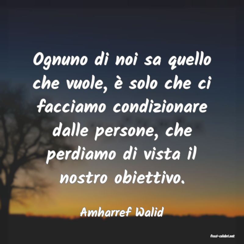 frasi di  Amharref Walid
