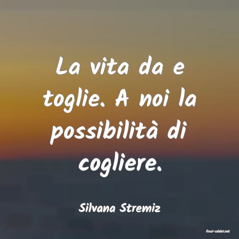frasi di  Silvana Stremiz
