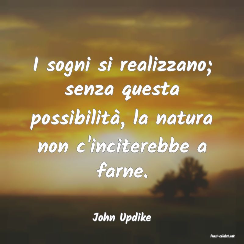 frasi di John Updike