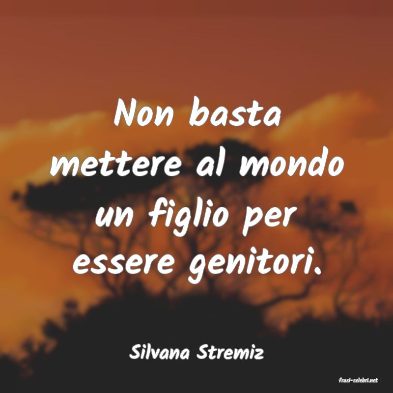 frasi di Silvana Stremiz