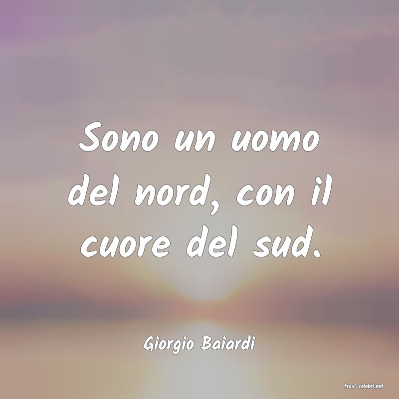 frasi di  Giorgio Baiardi
