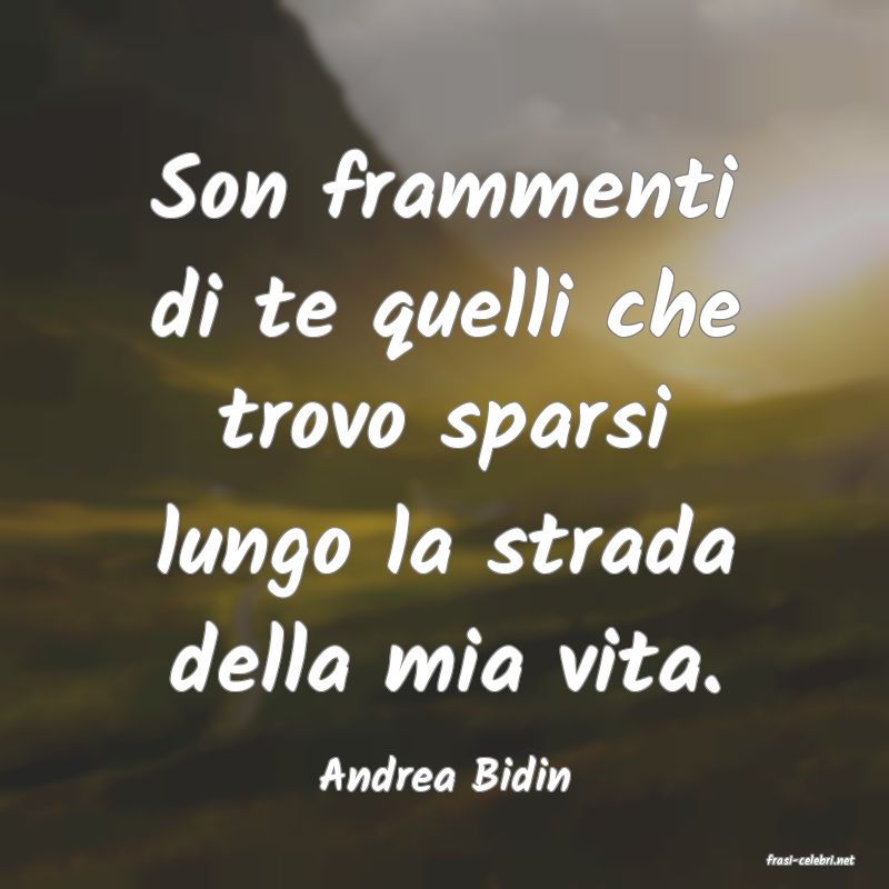 frasi di  Andrea Bidin
