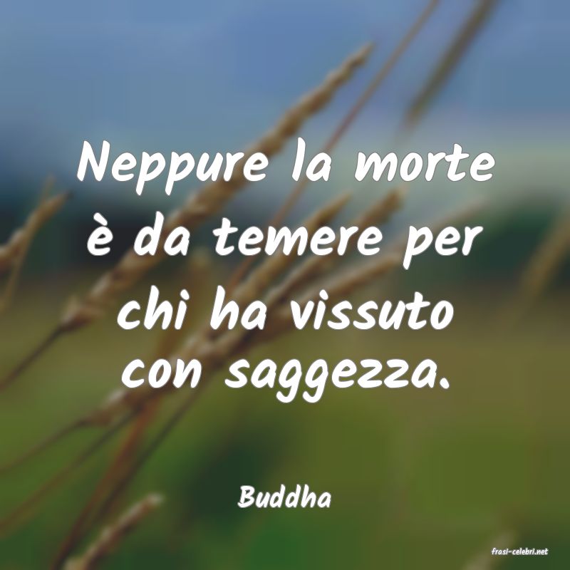 frasi di  Buddha
