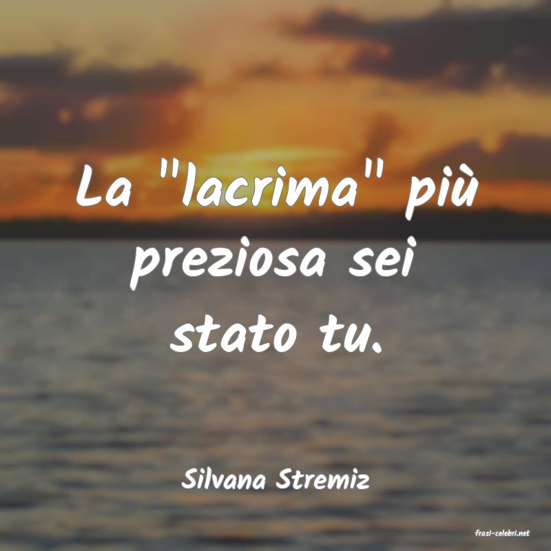 frasi di  Silvana Stremiz
