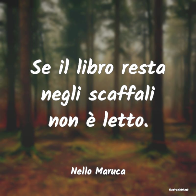 frasi di  Nello Maruca
