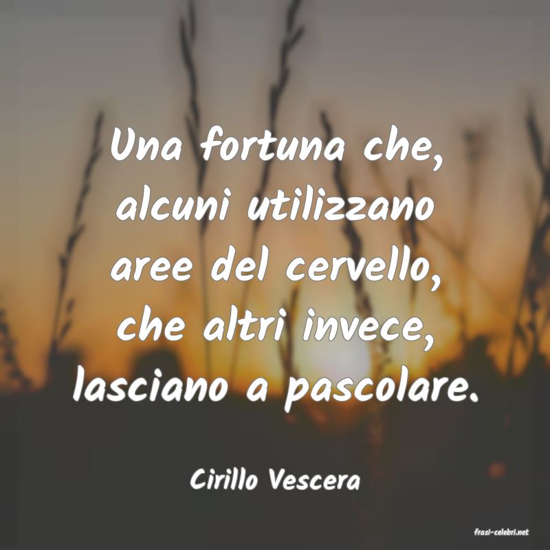 frasi di  Cirillo Vescera
