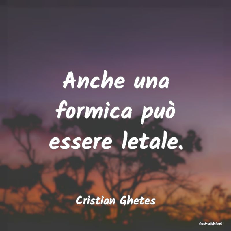 frasi di  Cristian Ghetes
