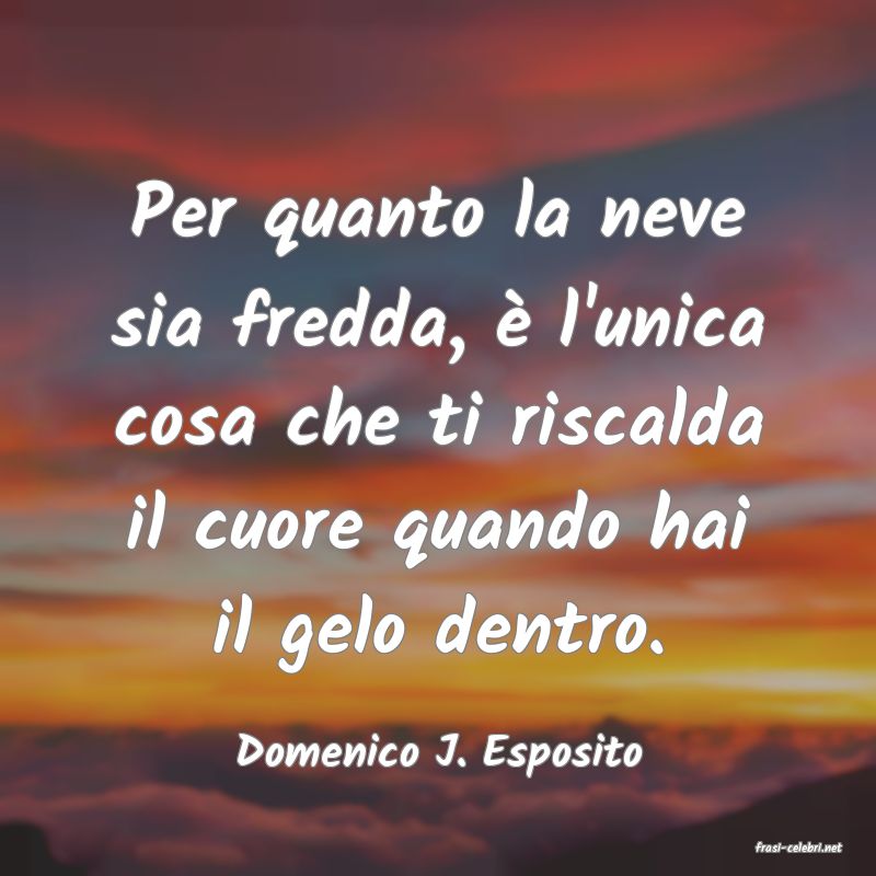 frasi di  Domenico J. Esposito
