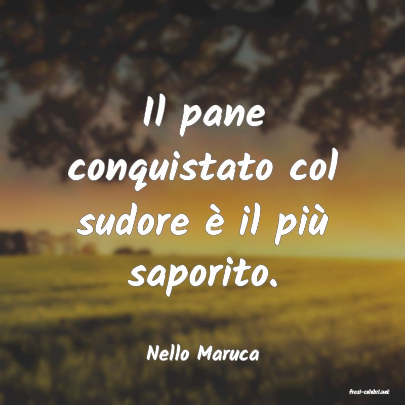 frasi di  Nello Maruca
