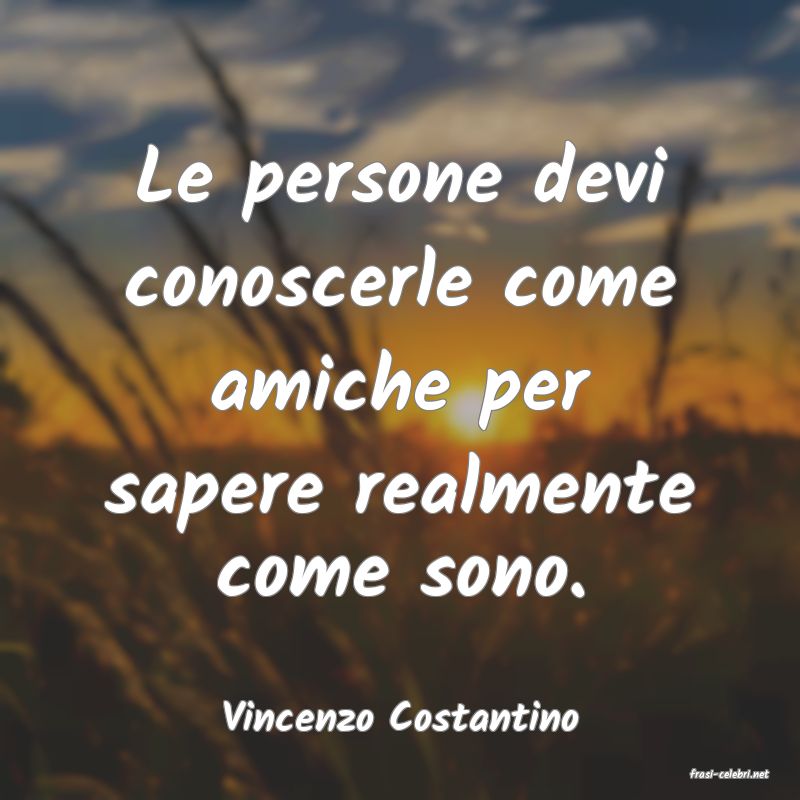 frasi di Vincenzo Costantino