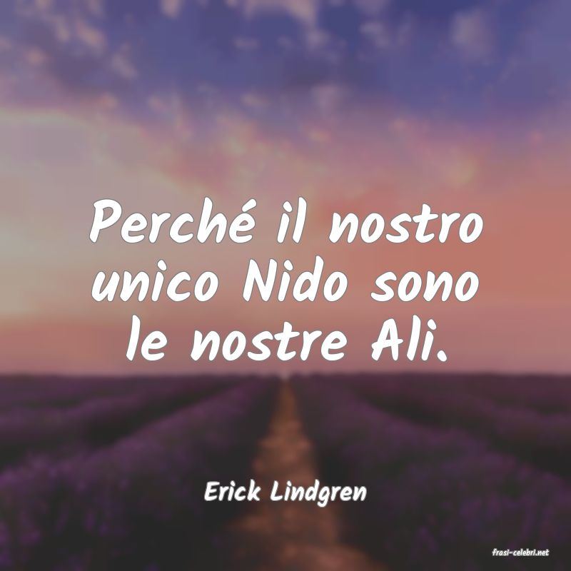 frasi di  Erick Lindgren
