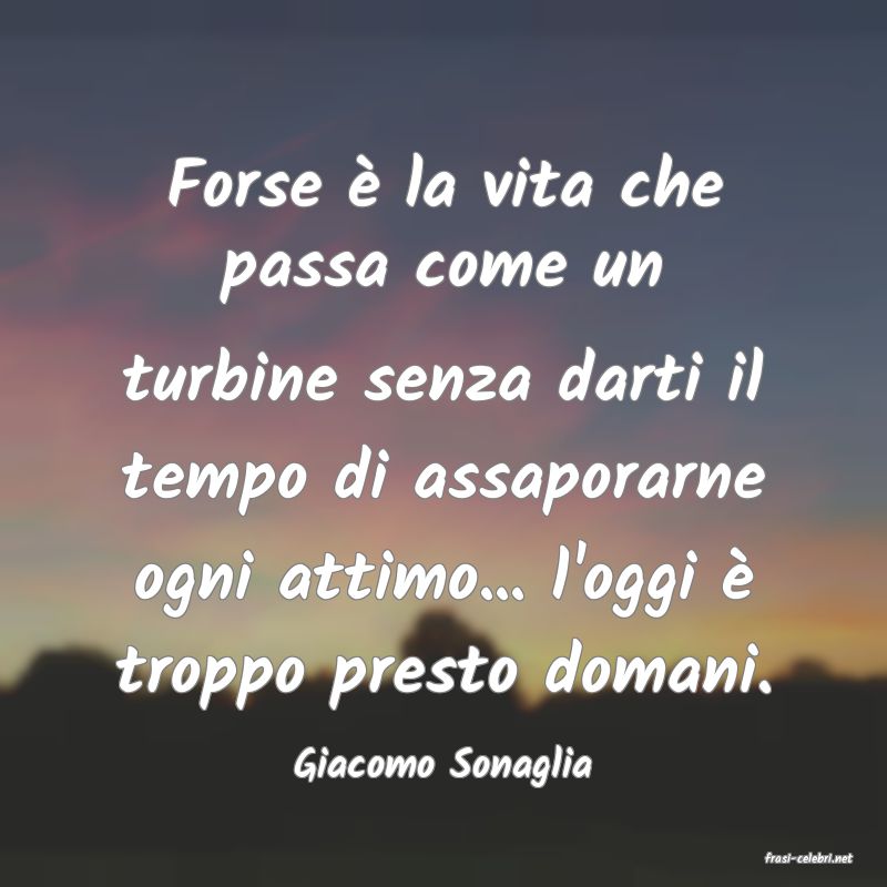 frasi di  Giacomo Sonaglia
