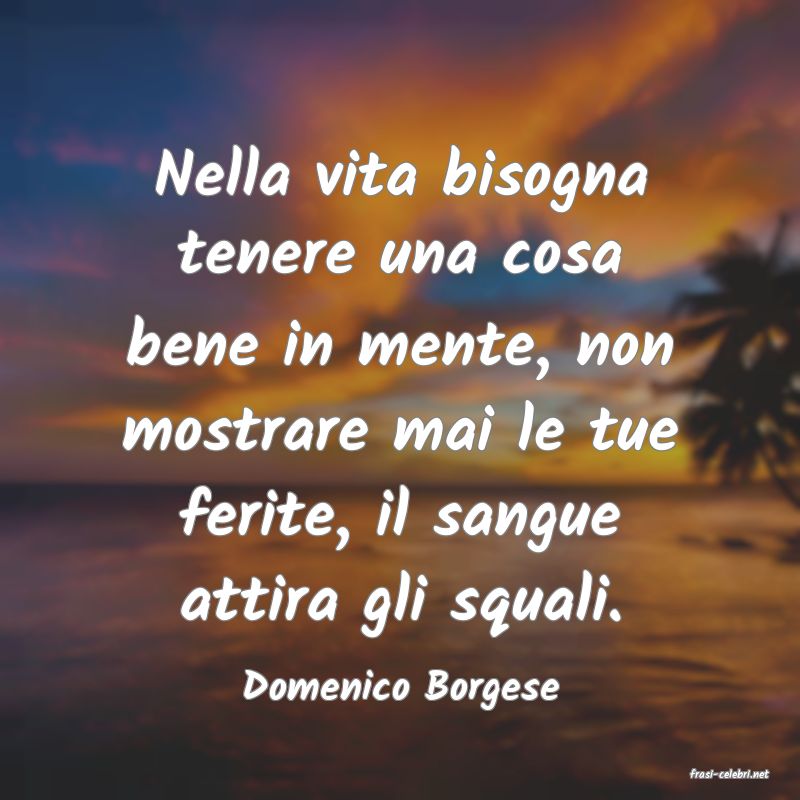 frasi di  Domenico Borgese
