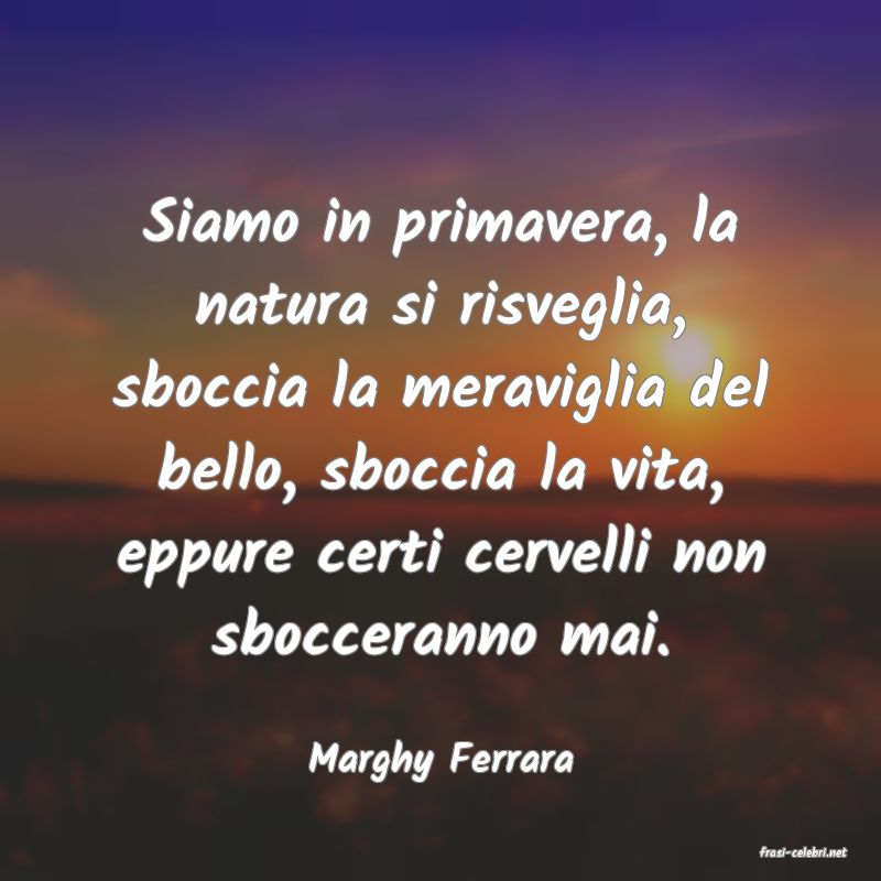 frasi di  Marghy Ferrara
