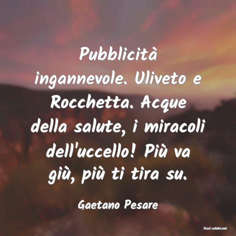 frasi di  Gaetano Pesare
