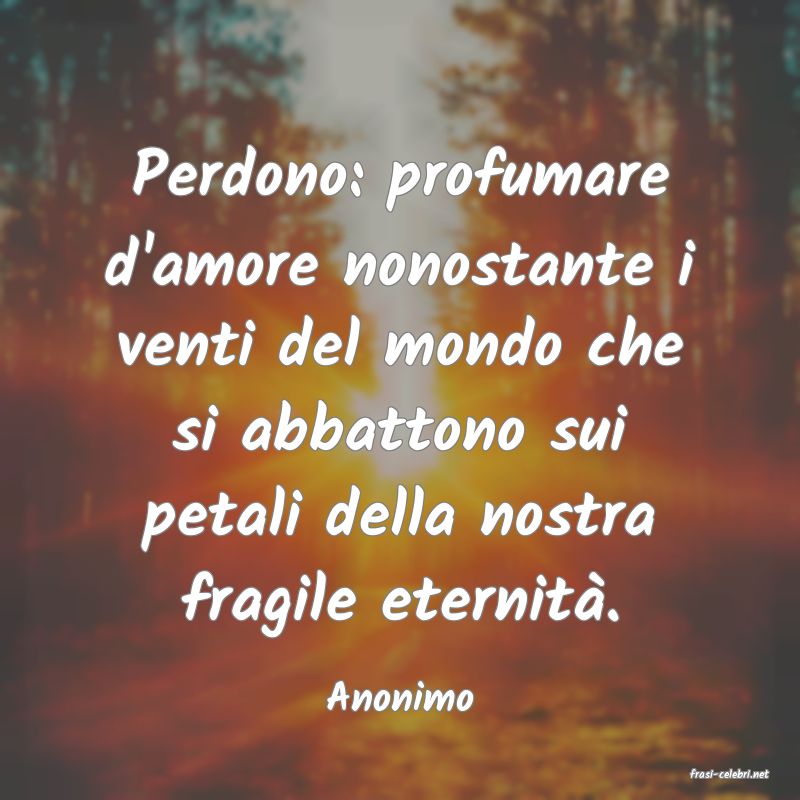 frasi di  Anonimo
