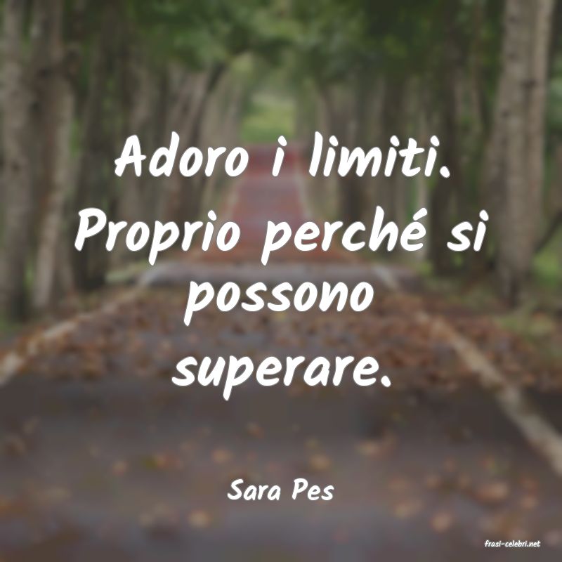 frasi di  Sara Pes

